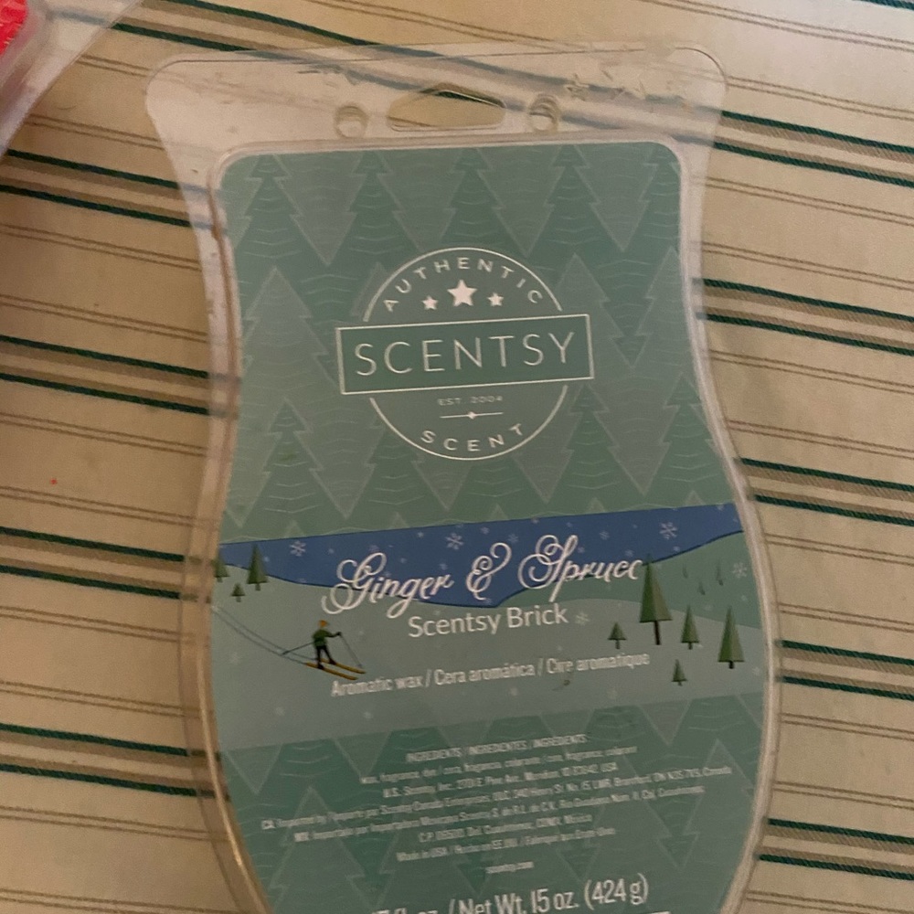 Scentsy bricks